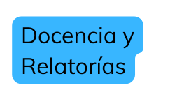 Docencia y Relatorías