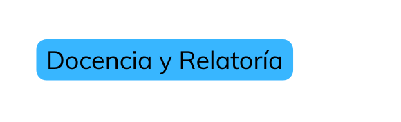 Docencia y Relatoría